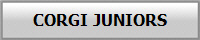 CORGI JUNIORS