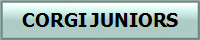 CORGI JUNIORS